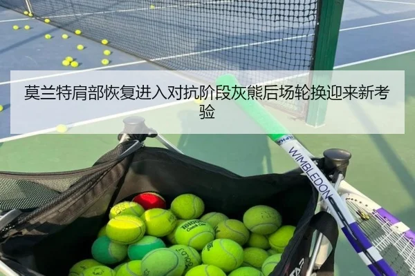 莫兰特肩部恢复进入对抗阶段灰熊后场轮换迎来新考验